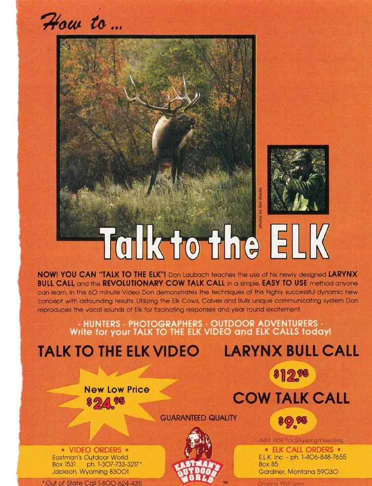 Cow Talk — source preview