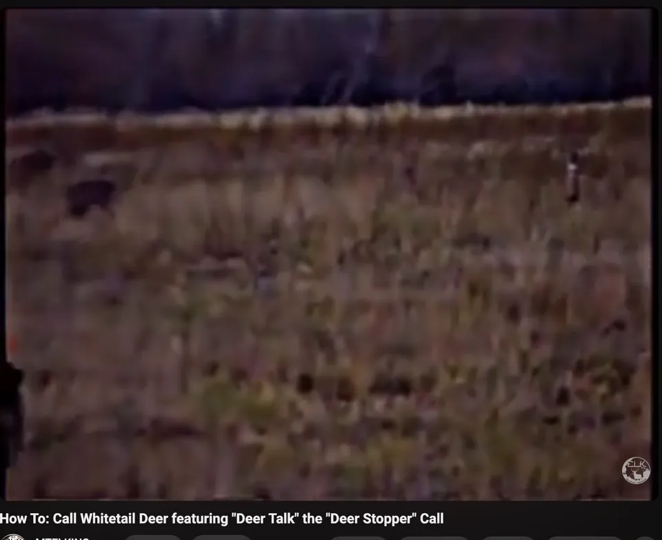 Deer Talk demonstration video preview